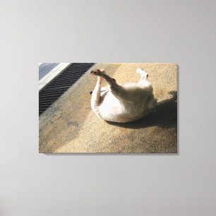 Toile Chien se trouvant sur le plancher