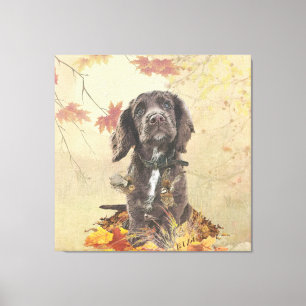 Toile Chien spaniel spaniel cocker au chocolat