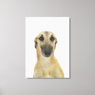 Toile Chien sur le blanc 41