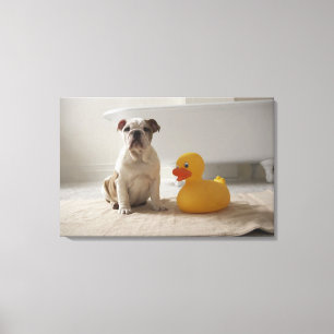 Toile Chien sur tapis avec canard en plastique