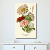 China Asters - Exquise Vintage Florale Botanique