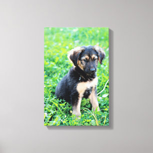 Toile Chiot berger allemand