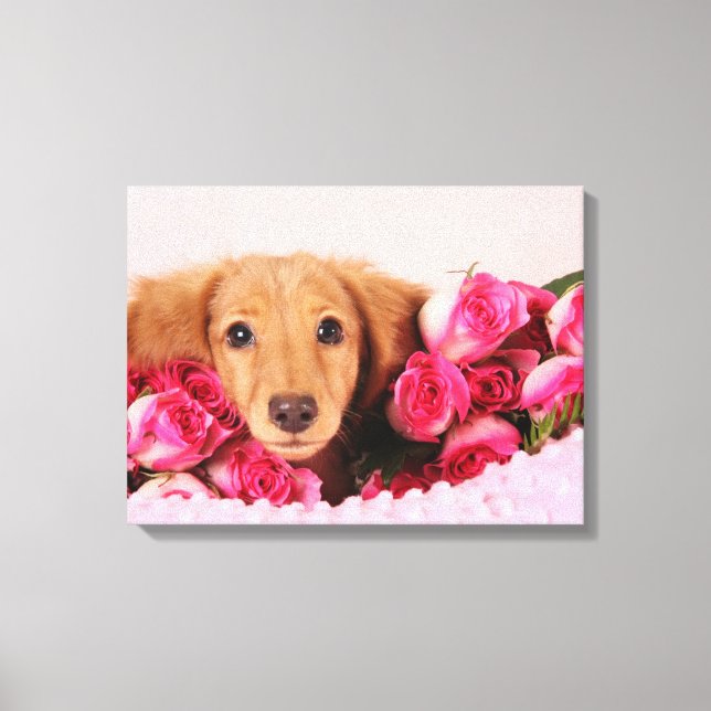 Toile Chiot de Dachshund Entouré de Roses (Recto)