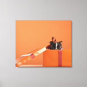 Toile Chiot de terrier de Boston dans la boîte-cadeau