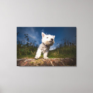 Toile Chiot de Terrier de West Highland