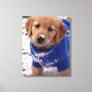 Toile Chiot Golden Retriever