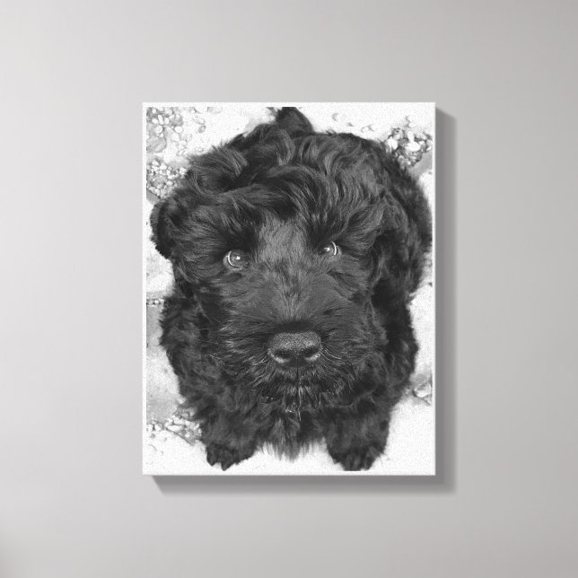Toile Chiot russe Terrier noir (Recto)