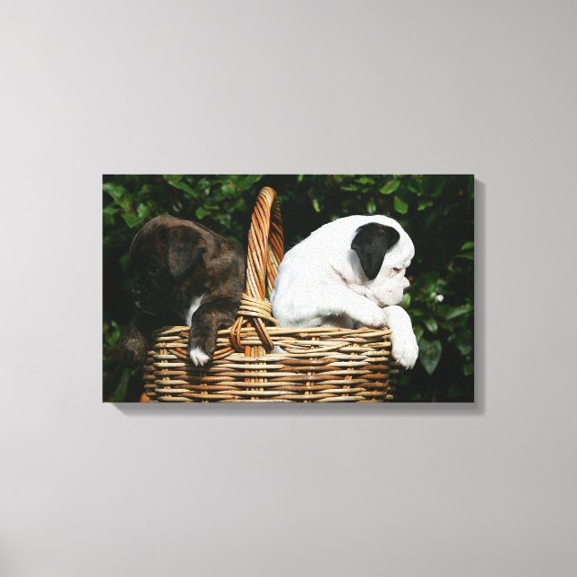Toile Chiots de boîte dans le panier (Recto)