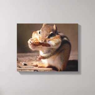 Toile Chipmunk Le Farce Sur Le Visage