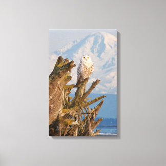 Toile Chouette de neige de l'Arctique, bois d'oeuvre de 