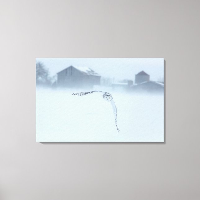 Toile Chouette Neige En Vol En Hiver (Recto)