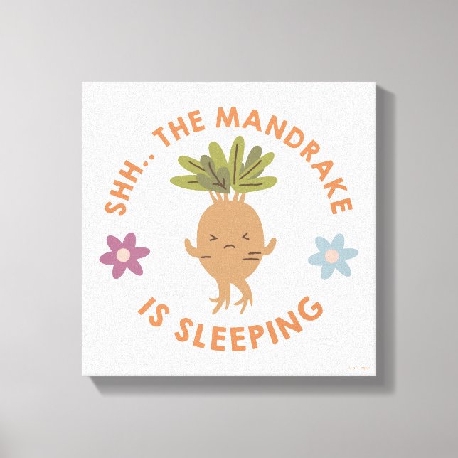 Toile Chut... Le Mandrake Dort (Recto)