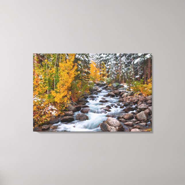 Toile Chute le long de Bishop Creek, Californie (Recto)
