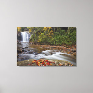 Toile chutes de Looking Glass dans le Pisgah National
