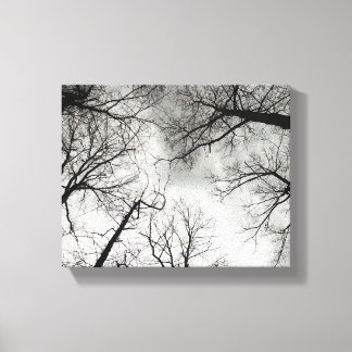 Toile Ciel nuageux des arbres d'hiver