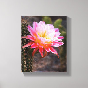 Toile Cierge en fleur rose de cactus