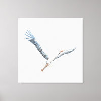 cigogne blanche volant