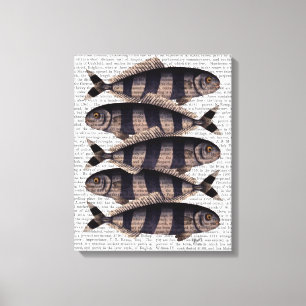 Toile Cinq poissons triés