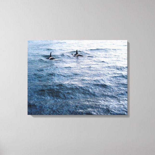Toile Classic Orca Whale Pair Ocean Scene Photo Conçu (Recto)
