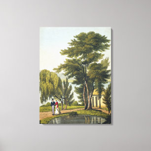 Toile Clifton, de "The Naturama, or, Nature's Endless