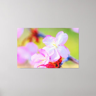 Toile Closeudo Vue Sur Les Fleurs De Cerisiers De Sakura