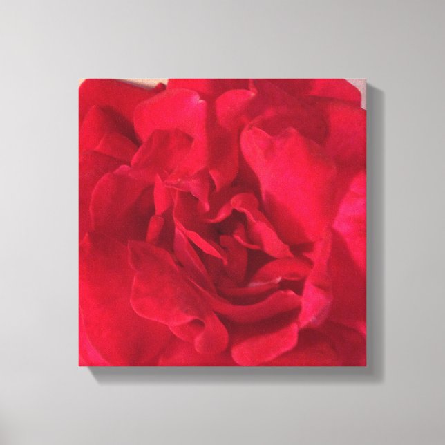 Toile Closeuse photo Fleur Rouge (Recto)