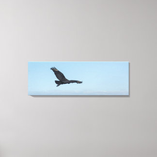 Toile Coastal Black Vulture in Flight Over Ocean Rocks