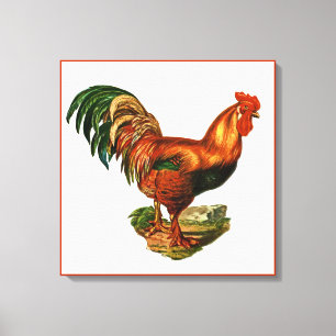 Toile Cockerel de Rooster