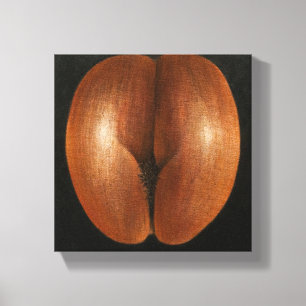 Toile Coco de Mer 2010