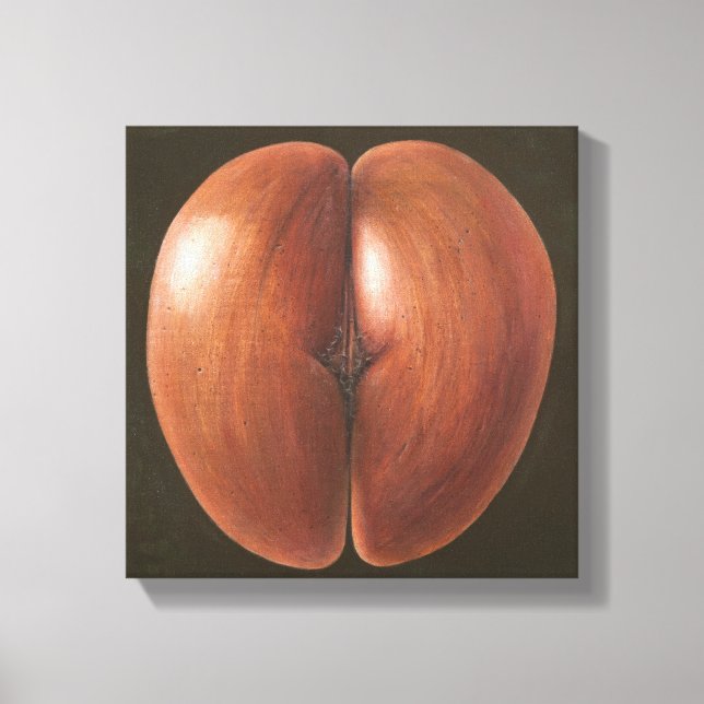 Toile Coco de Mer Maldives 2012 (Recto)