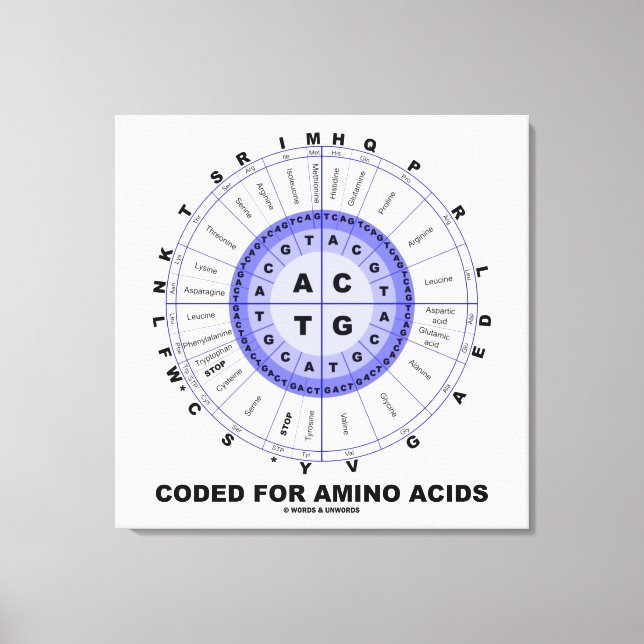 Toile Codé Pour Les Acides Aminés (Code Génétique ADN) (Recto)