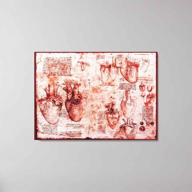 Toile Coeur Et Ses Vaisseaux, Léonard De Vinci, Rouge (Recto)