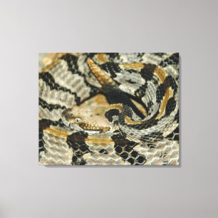 Toile Coil de serpent à sonnette en bois