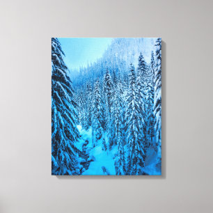 Toile Col de Snoqualmie, État de Washington.
