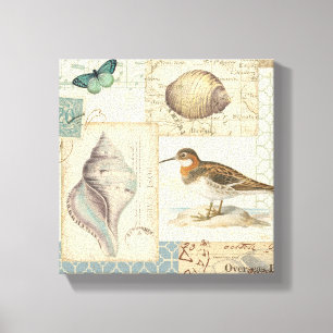 Toile Collage de coquillages