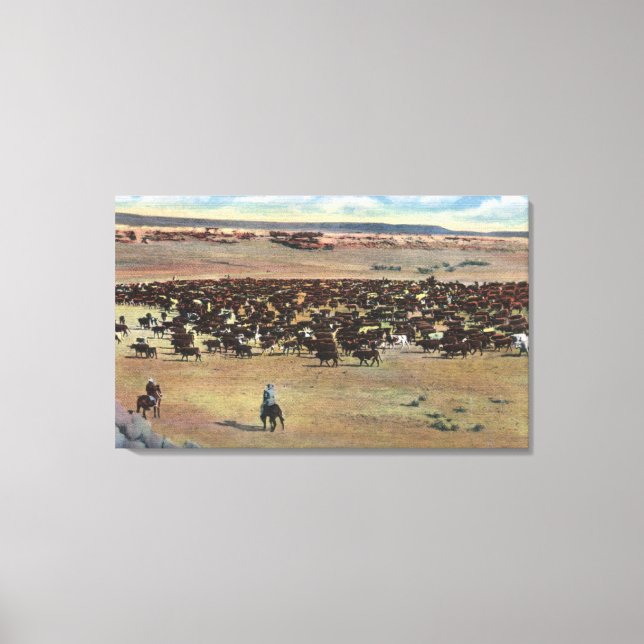 Toile Colorado - Arrondissement de Cowboys (Recto)