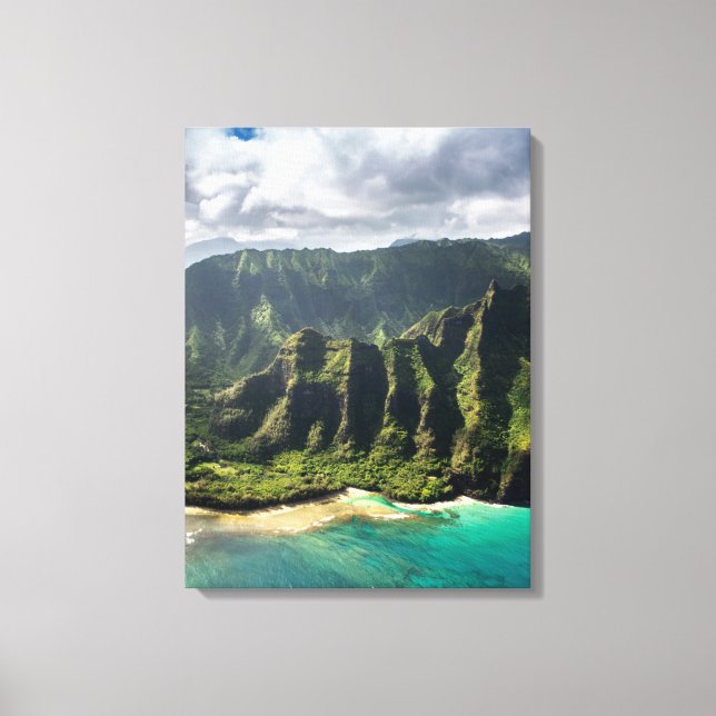 Toile Comte de Kauai (Recto)