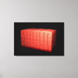 Toile Concept de l'épithélium stratifié 1 de Squamous