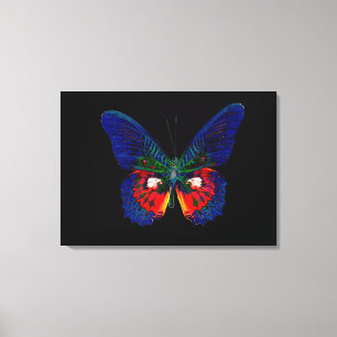 Toile Conception colorée de papillon contre le contexte
