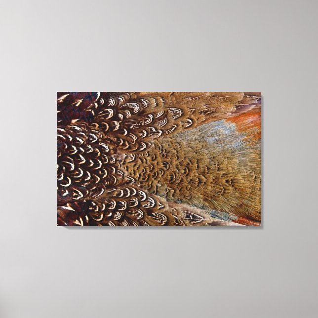 Toile Conception de plume de faisan marron (Recto)