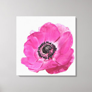 Toile Conception florale de fleur de pavot rose vif sur 