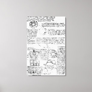 Toile Conception pour un palais et un parc