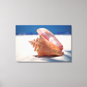 Toile Conque Shell sur la plage 2