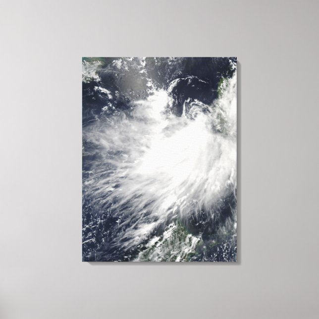 Toile Conson de tempête tropicale (Recto)