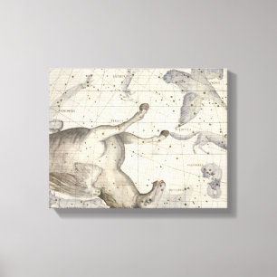 Toile Constellation de Pegasus, plaque 25 de 'Atlas Coe