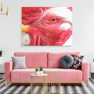 Toile coq