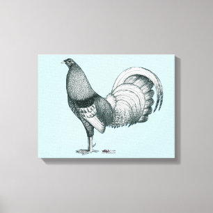 Toile coq de combat Crele ou Dom