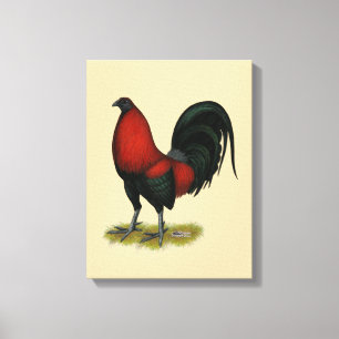 Toile Coq Rouge Noir BB Américain