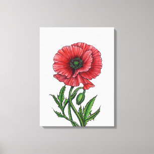 Toile Coquelicot, aquarelle et encre