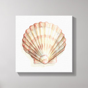 Toile Coquillage rose et crème